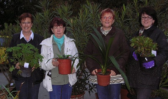 OÖVP_Frauen_Pflanzenflohmarkt__Frühl_.jpg  