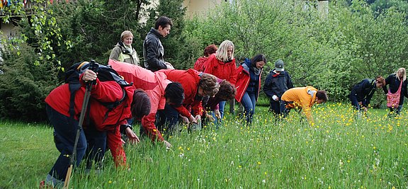Wildkräuterw._OÖVP_Fr._Ebensee_1_.jpg  