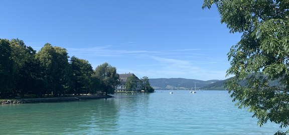 IMG_4598.JPG  