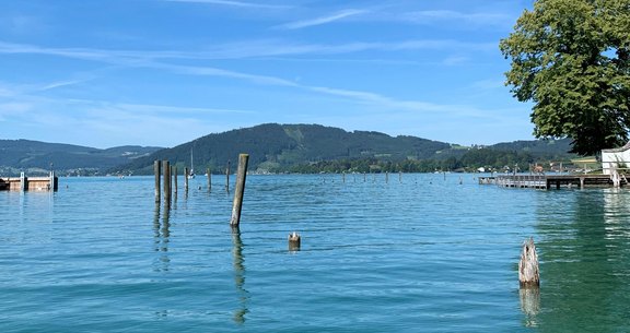 IMG_4615.JPG  