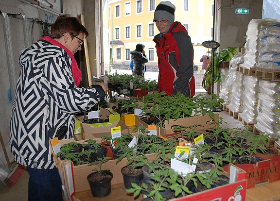 Pflanzenflohmarkt_d._OÖVP_Frauen_3.jpg  