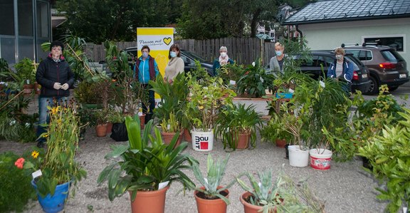 Herbstpflanzenflohmarkt_20_OEVP_Frauen_Ebensee_1.jpg  