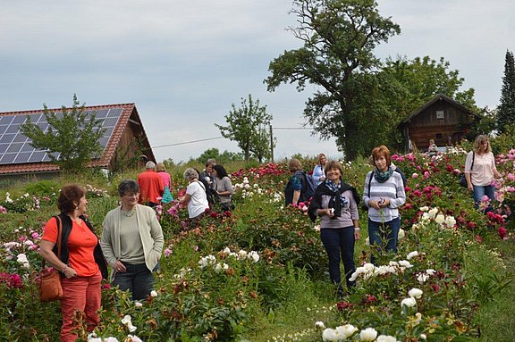 006_01.jpg  